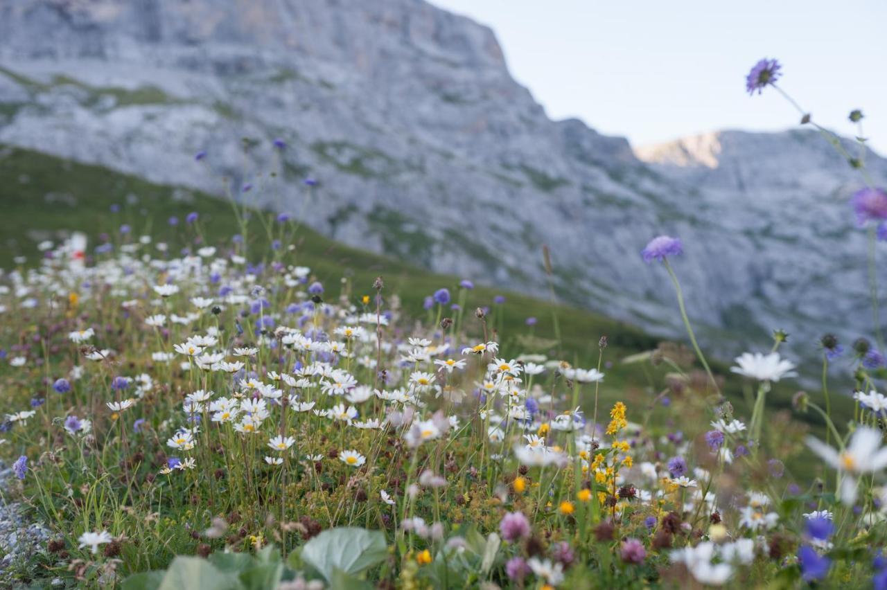 Berghaus Sulzfluh Sankt Antönien Exterior foto
